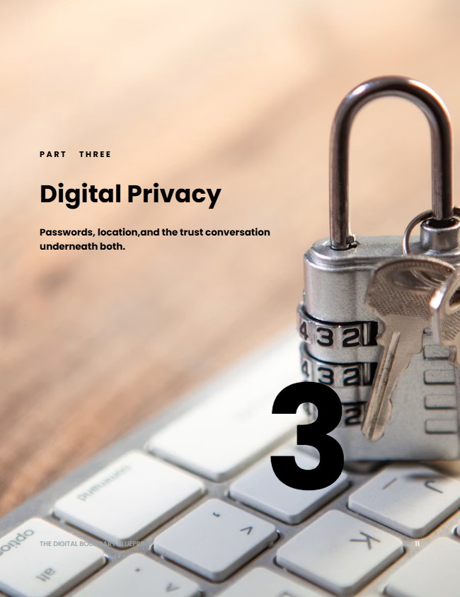 The Digital Boundary Blueprint — sample page showing the monthly check-in ritual